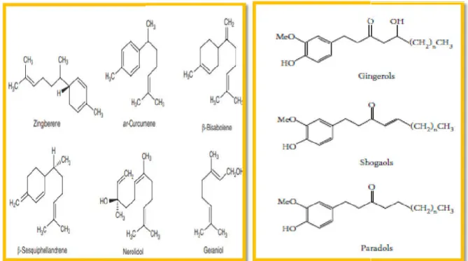 Figure 06: Structure chimique de quelques gingembre.(MohdSahardi et  Makpol, 2019