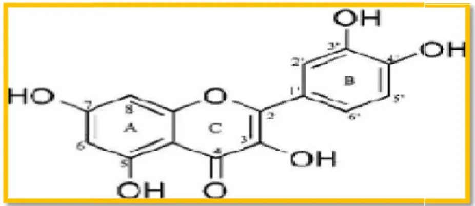 Figure 07:structure chimique de flavonoïd