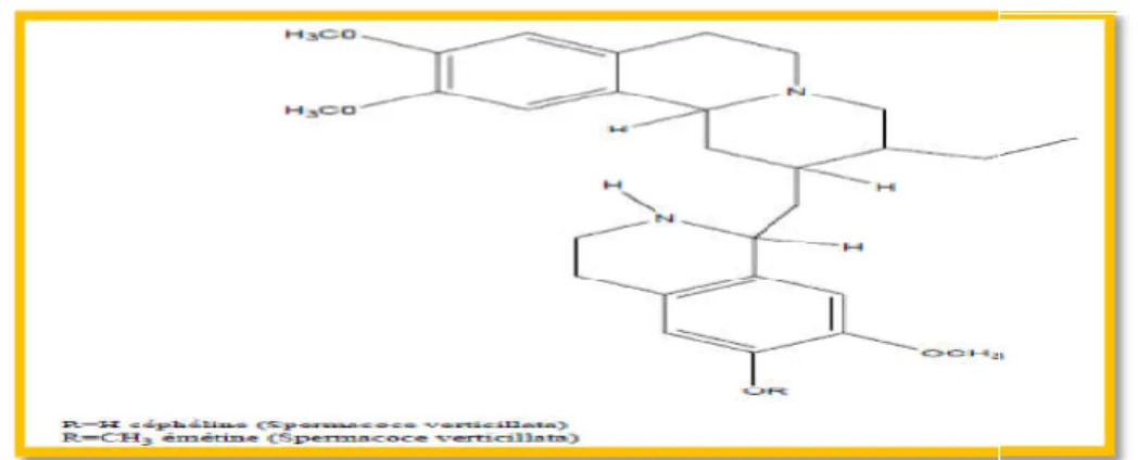 Figure 08: Structures des alcaloïd