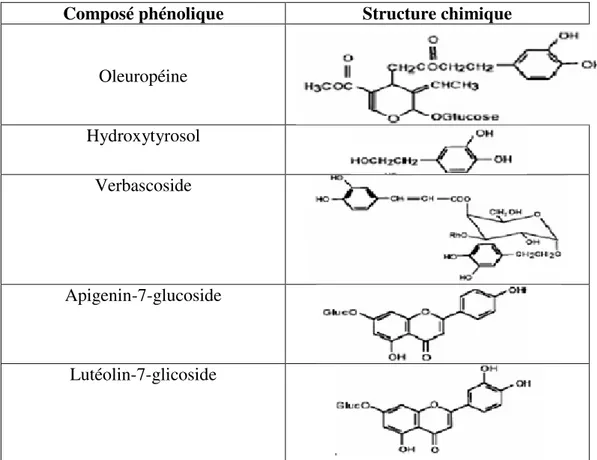 Tableau V : Structures chimiques des composés phénoliques les plus abondants des feuilles  d’olivier cultivé