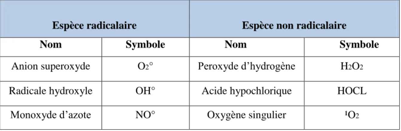 Tableau  III :  Les  principales  espèces  oxygénées  réactives  générées  dans  les  systèmes  biologiques (Haton, 2005)