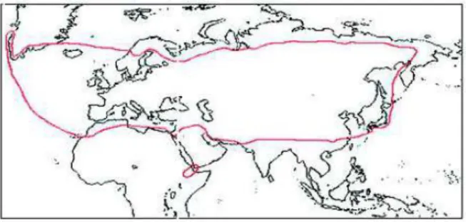Figure 8: Distribution géographique du thym dans le monde. (Stahl-biskup, 2002)  V.4.2