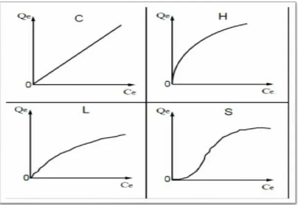 Figure  III.3 : typologie  des isothermes  III.6.2   La cinétique  d'adsorption  :  