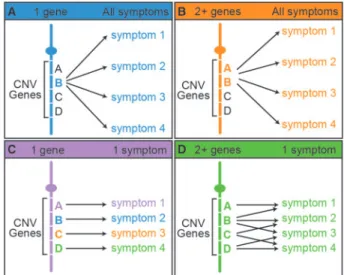 Figure 1. Possible hypotheses for gene-phenotype relationships in multi-symp- multi-tomatic CNV disorders