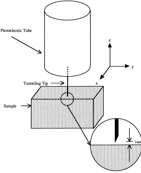 Figure V.1  Piezoelectric  tube and tunneling  tip relative to sample being  scanned.  The tunneling  tip  height off the  surface is on the  order of 1nm.