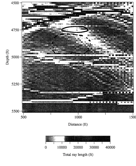 Figure 5: View of the total ray length in the zone of interest. The raypaths were obtained
