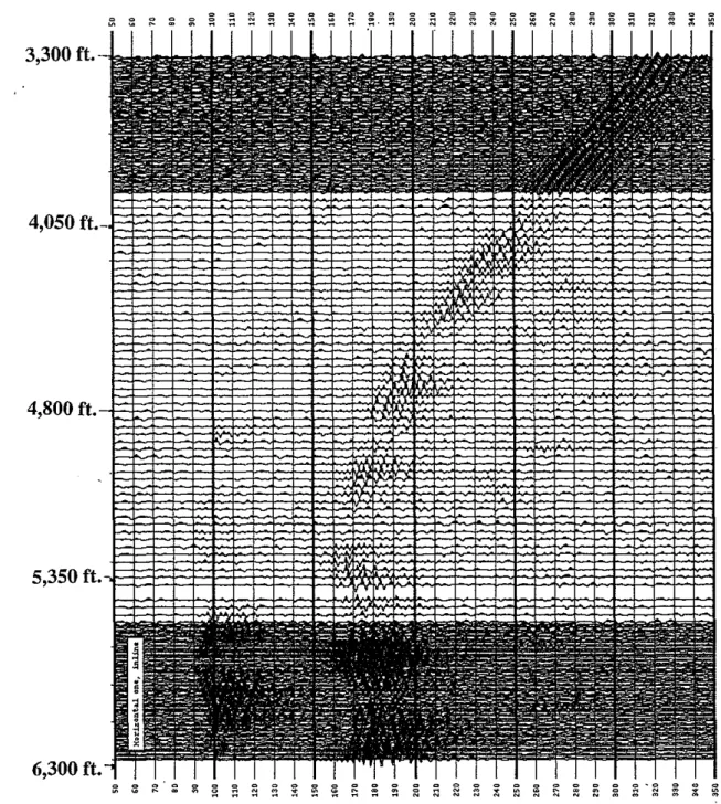 Figure 11: Field plot of orbital vibrator data from a horizontal geophone at a depth of 5,880 ft.