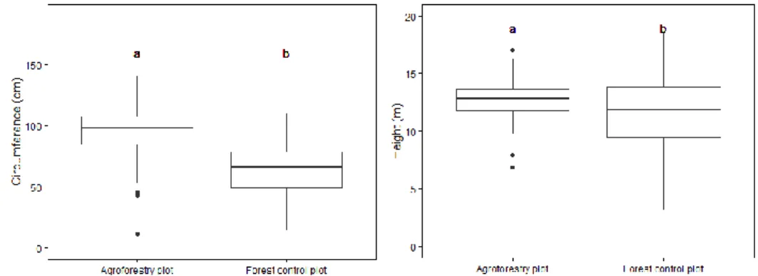 Figure 1. Left:  Circumference at 1,30 m height of AF walnuts and FC walnuts, p-value = 2.2e-16   / Right: Height of AF walnuts and FC walnuts, p-value = 0.00012 - (2017) 