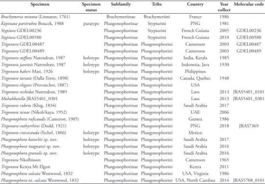 Table 1.  Specimens used for the phylogenetic study. Generic names as in the present literature.