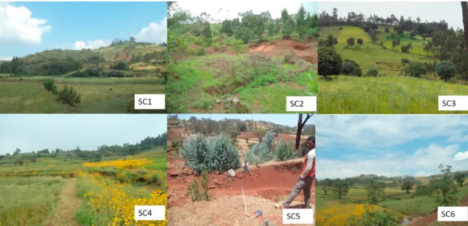 Fig. 2. Overview of sub-catchments (SC1-SC6) examined in the present study, showing differences in land cover