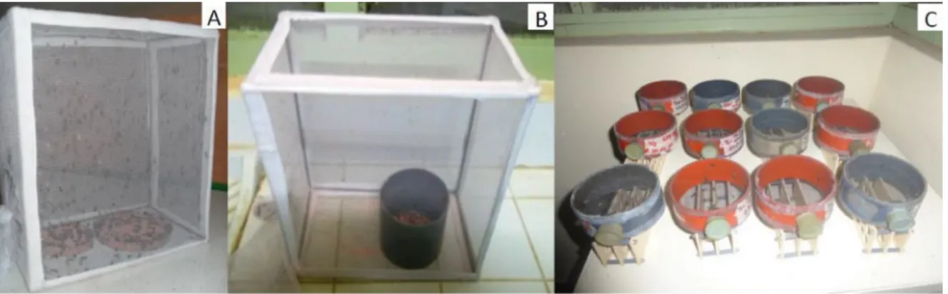 Fig 1. Illustration of the set up of quality assessment of sterile male flies during the tsetse eradication project in Senegal