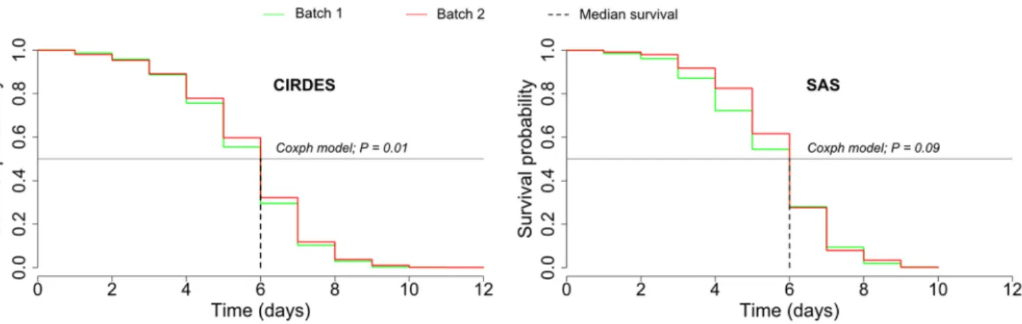 Fig 3. Survival curves of sterile males that were kept without food and had to survive on their fat reserves