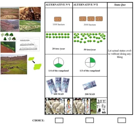 Fig. 2. Example of a choice set used in the survey 