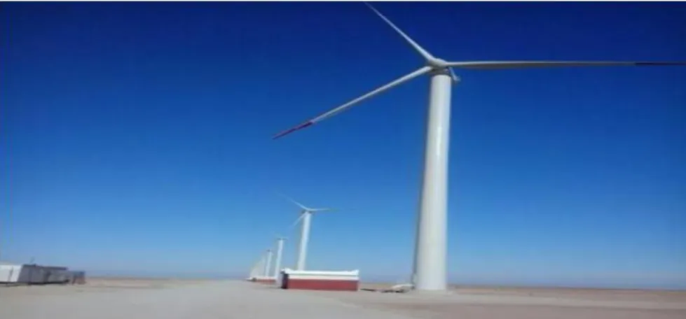 Figure 1.13 : La ferme éolienne d’Adrar. 