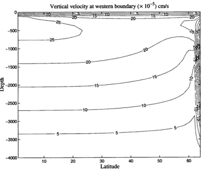 Figure  2.2:  (a) Vertical  velocity at  western  boundary, contour  interval  5 x  10- 5 cms-.