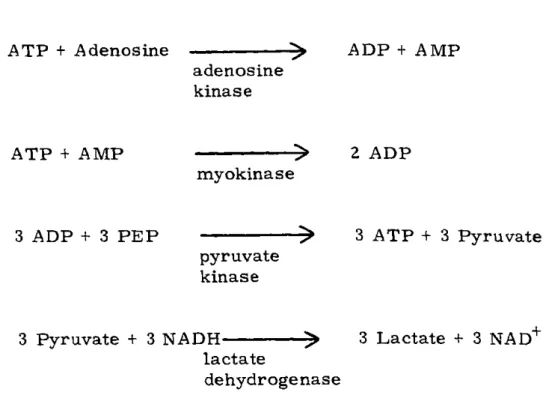 Figure  2:  Elution  of  adenosine  kinase  from  a  Sephadex  G-100  column.