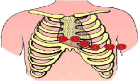Figure I.9. Position des électrodes précordiales [21]. 