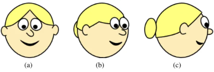Figure 5: Failure case: Although the hair stroke’s two key views (a) and (c) are reasonable, the interpolated view (b) generates an implausible appearance