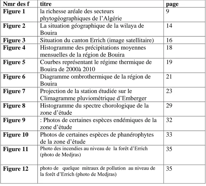 Figure 12  photo de   quelque  mitraux de pollution  au niveau de  