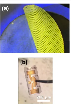 Figure 3.   (a) Large-area (100 mm wafer) epitaxial lift-off of GaN- GaN-based epitaxial device layers achieved using band-gap selective  photoelectrochemical wet etching of an InGaN [17]; (b) single-die  release of a GaN-based device using dry etching of 