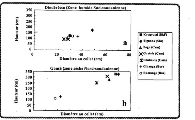Figure  2  :  Croissance  initiale  de  provenances  panafricaines  de  Faidherbia  albidu  en  essai  au  champ, agies  au B-a  Fao  en 1986,  et mesurées  en  1990