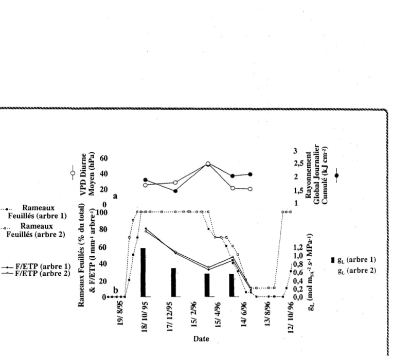 Figure  34  :  Evolution  saisonnière  de  variables  climatiques,  du  ratio  Flux  de  sève/Evapotranspiration  Potentielle  Penman  (F/ETP),  et  de  la  conductance  hydraulique  totale  sol-feuille  rapportée  à la  surface  d’+bier  (g,)