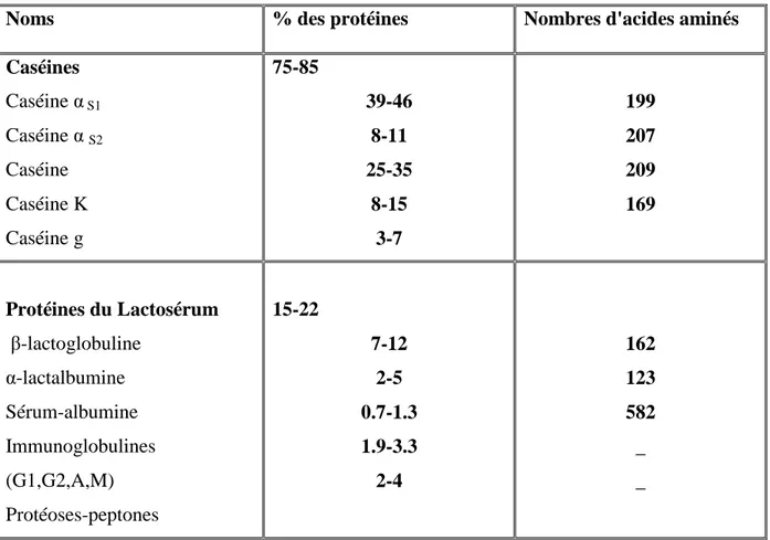 Tableau II: Classification des protéines (Ghaoues, 2011) 
