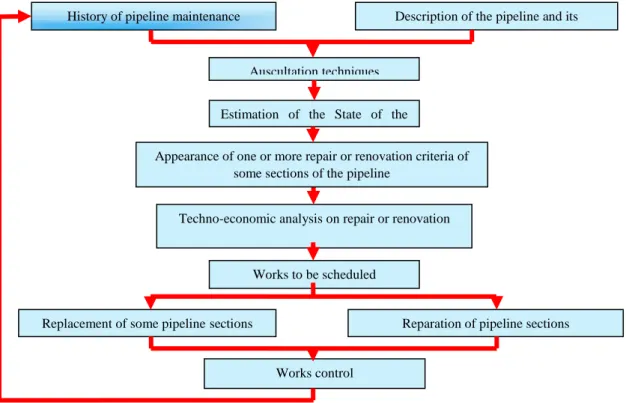 Figure 1. Steps of a maintenance policy approach of ageing pipelines 