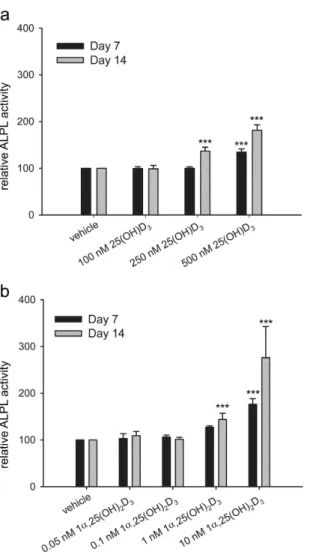 Figure 4.  Regulation of ALPL activity by 25(OH)D 3  and 1α,25-(OH) 2 D 3  in hMSCs. Alkaline phosphatase  (ALPL) activity was measured according to the procedure of ELF97 in the hMSCs during two weeks of  treatments with 25(OH)D 3  (a) or 1 α  ,25-(OH) 2 