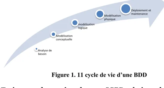 Figure 1. 11 cycle de vie d’une BDD 