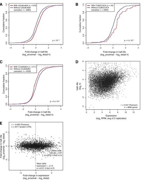 Figure 4. Relationships between isoform half-life and either motifs or isoform accumulation