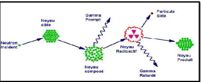 Figure I.3: Diagramme illustrant le processus de la capture neutronique par un noyau cible  suivi d'une émission de rayon gamma