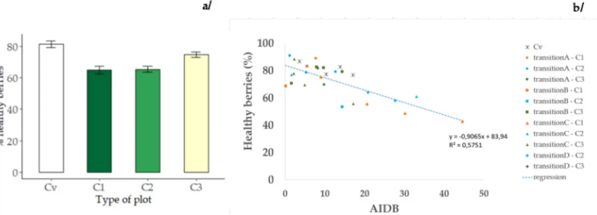 Figure 5. Percentage of healthy berries at harvest measured on conventional and in-conversion plots