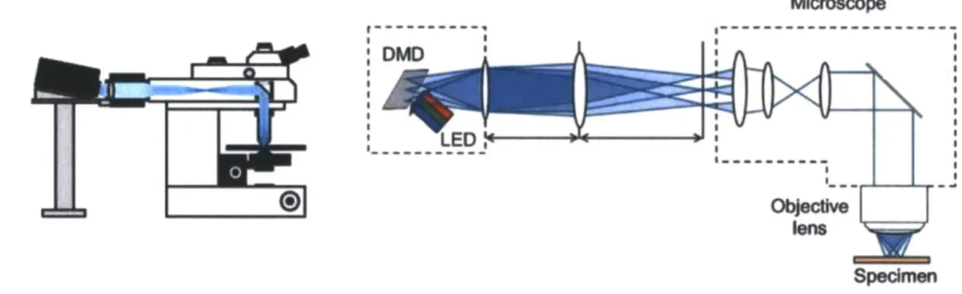 Figure 2 - DMD-based  projector system  used to project arbitrary 2D  geometries  onto  cortex  surface (Sakai et  al.,  2013)