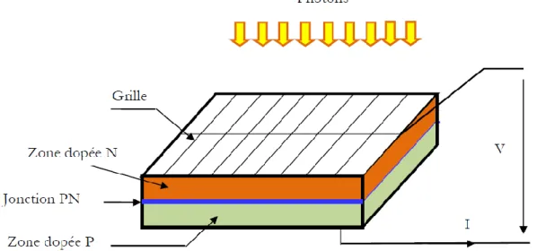 Figure II.1 : Coupe transversale d’une cellule photovoltaïque [17]. 