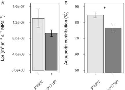 Fig 1. Root hydraulic conductivity and aquaporin contribution in roots of IP4952 and IP17150