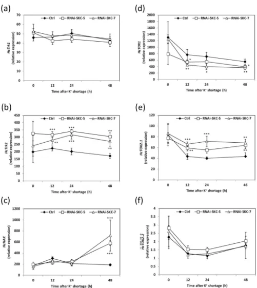 Fig 5. Relative expression of putative K + channels and transporters in Hebeloma cylindrosporum control and HcSKC-silencing lines