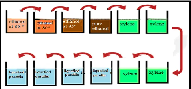 Figure 14: The inclusion process that lasted 22 hours  II-5-3-Inclusion / coating: 