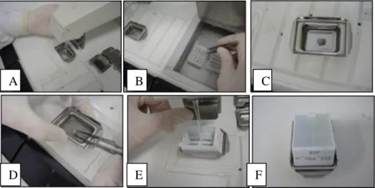 Figure 16: The steps of coating a tissue sample  A-The bottom of the preheated metal molds is filled with the hot paraffin