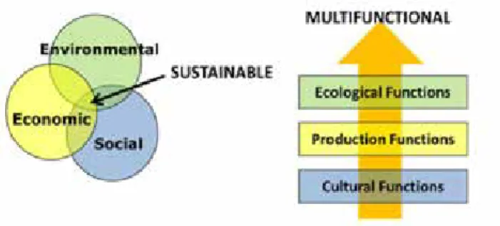 Fig. 3. Comparison of the concept of sustainability with that of  multifunctionality. Source: Lovell &amp; Taylor, 2013.