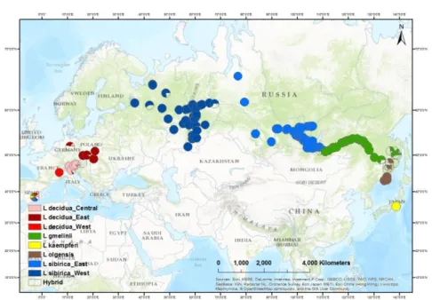 Fig. 8: Geographical distribution of the different genetic profiles of  Larix  spp . 