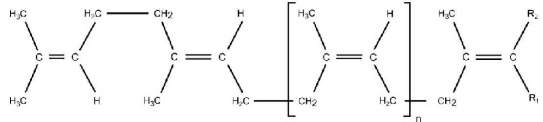 Figure 6. Biosynthesis of polyisoprene and resin compounds. 