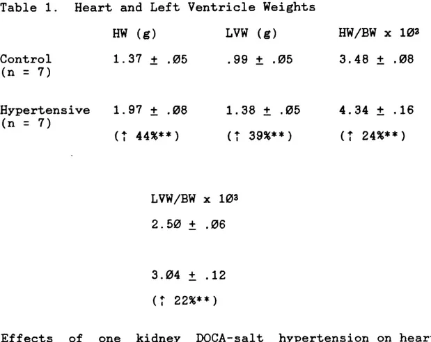 Table  1.  Heart  and Left Ventricle Weights HW  (g) 1.37  +  .05 LVW  (g).99  +  .05 HW/BW x 1033.48  +  .08 Hypertensive (n = 7) 1.97  +  .08 (+  44%**) 1.38  +  .05 (t  39%**) 4.34  +  .16(t 24%**) LVW/BW x 103 2.50  +  .06 3.04  +  .12 (&#34;  22%**)