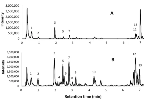 Figure 4. Electrospray ionization (ESI) - total ion chromatograms obtained from UPLC-ESI-MS/MS analyses; (A) l-UAE (water, cup-horn, 45 min, 45 ◦ C); (B) conventional hydroalcoholic extracts (EtOH/H 2 O 60:40, 23 min, 95 ◦ C, reflux).