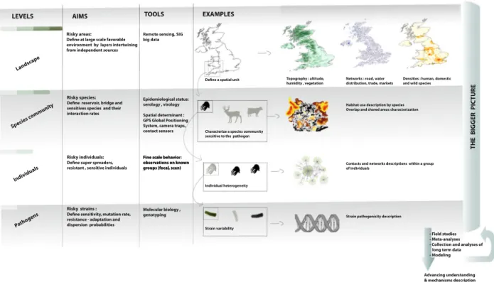 Fig. 3 Toolbox for disease management in wildlife population(s): ecosystem levels relevant to disease control
