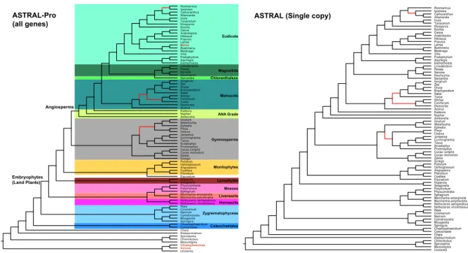 Figure 5: ASTRAL and ASTRAL-Pro on biological plant paper. ASTRAL-Pro is run on 9683 multi-copy AA gene trees available online [56]