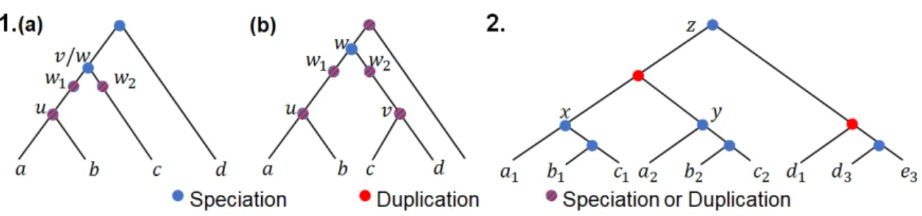 Figure 1: 1. An example of a quartet Q = {a, b, c, d} with (a) unbalanced topology (Q ∠ G) and (b) balanced topology (Q ⊥ G) 