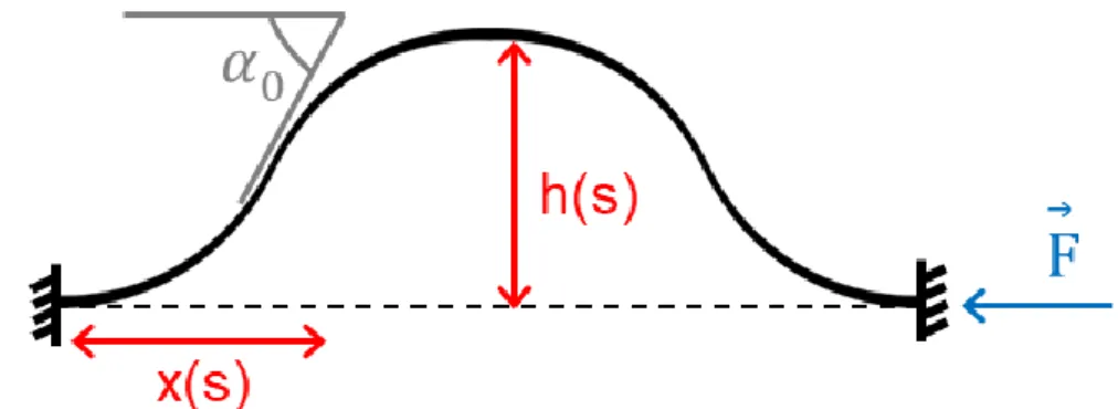 Figure SI-1: Schematic side-view of a uniform cross-section buckle. 