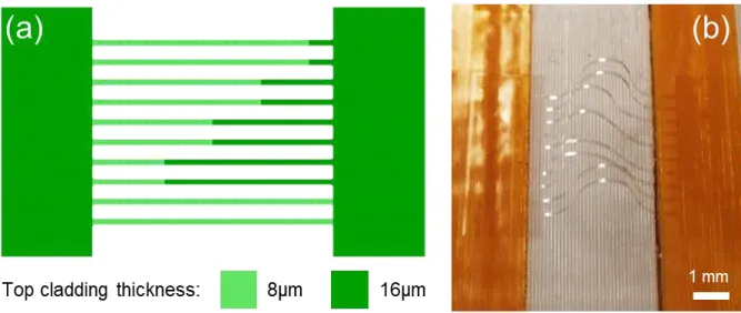 Figure SI-2: (a) Mask for the top cladding. (b) Sample fabricated using this mask, whose  buckles were used as the experimental shapes in Figure 3
