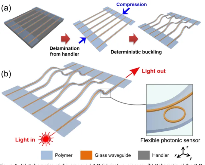 Figure 1: (a) Schematics of the proposed 3-D fabrication process. (b) Schematic of the 3-D  device layout